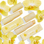 Vanilla Kisses Lip Care Set showcases ColourPop Lip Scrub and lip balm, tubes uncapped to reveal product, in soft-yellow Fourth Ray Beauty packaging with orchid graphics, arranged flat on a white background among yellow orchid flowers.